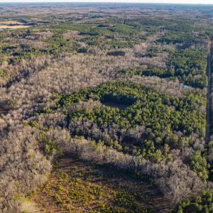 DJI_0359