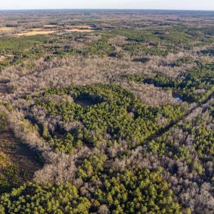DJI_0360