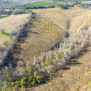 06-002-Chatham-Parcel-8664-Tract2-202501