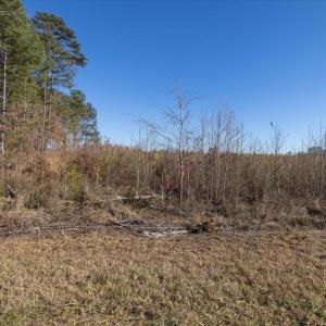 09-009-Chatham-Parcel-8664-Tract2-202501