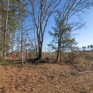 10-010-Chatham-Parcel-8664-Tract2-202501
