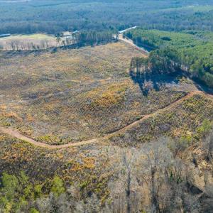 04-004-Chatham-Parcel-8664-Tract3-202501