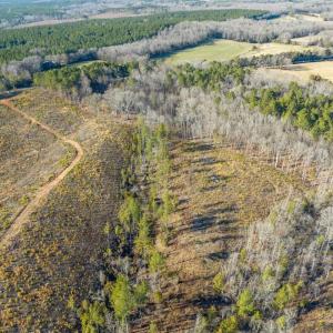 06-006-Chatham-Parcel-8664-Tract3-202501
