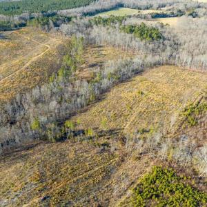 09-009-Chatham-Parcel-8664-Tract3-202501