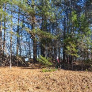 10-010-Chatham-Parcel-8664-Tract3-202501