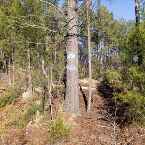 15-015-Chatham-Parcel-8664-Tract3-202501