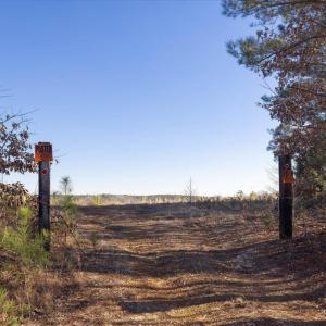 17-017-Chatham-Parcel-8664-Tract3-202501