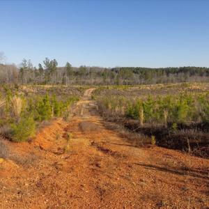 19-019-Chatham-Parcel-8664-Tract3-202501