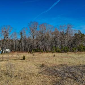 7496 Strader Road Summerfield-large-006-
