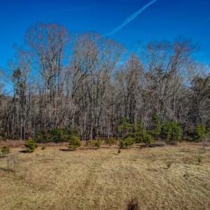 7496 Strader Road Summerfield-large-007-