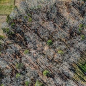 7496 Strader Road Summerfield-large-008-