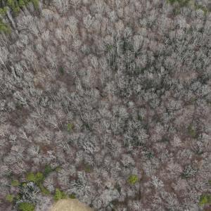 DJI_20250130125956_0064_D