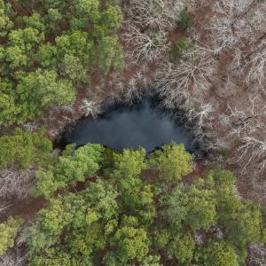 DJI_20250130130204_0068_D