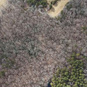 DJI_20250130130832_0081_D