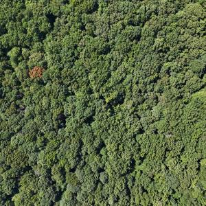 DJI_20250620110542_0089_D