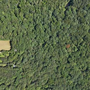 DJI_20250620110616_0090_D