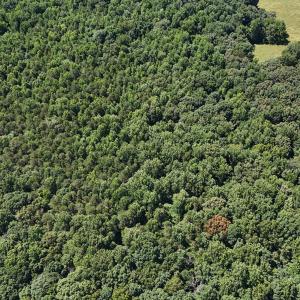 DJI_20250620110809_0096_D