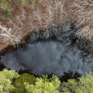 DJI_20250130130232_0069_D