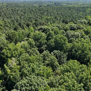 DJI_20250620111012_0102_D