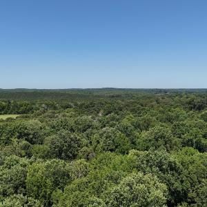 DJI_20250620110945_0101_D