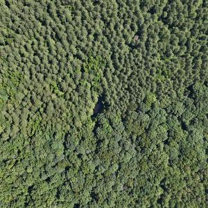 DJI_20250620110710_0094_D