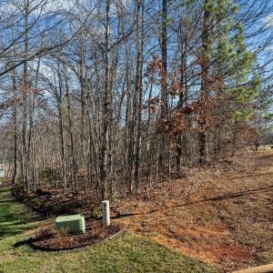 4-web-or-mls-DJI_0933