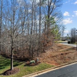 5-web-or-mls-DJI_0934