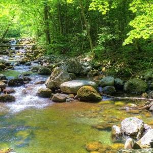 Dry Creek 2 2024-05-03 131453