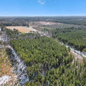 03-DJI_20250222101612_0122_D