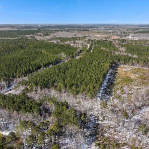 04-DJI_20250222101711_0125_D