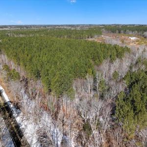07-DJI_20250222101759_0134_D
