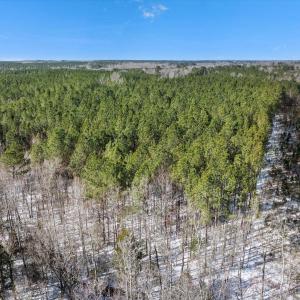 08-DJI_20250222101846_0137_D
