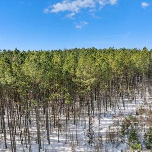 09-DJI_20250222101947_0140_D