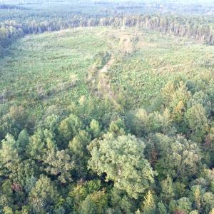 DJI_0037