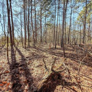 29.18AC - LOWERY (18)