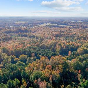 5-web-or-mls-DJI_20241024095852_0005_D