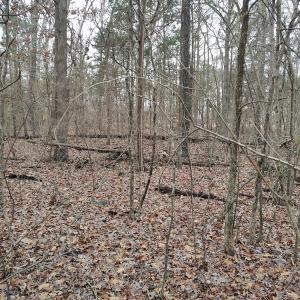 IMG_20250216_134016837_HDR