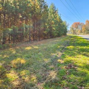 Tract 1A Abattoir Rd photo1