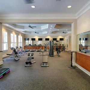 Belmont Gym