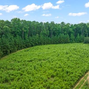 4-web-or-mls-untitled-4