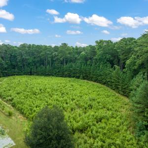 5-web-or-mls-untitled-5