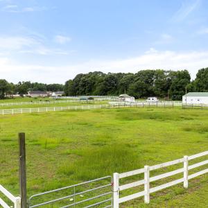 8-web-or-mls-DJI_0453