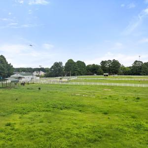 15-web-or-mls-DJI_0361
