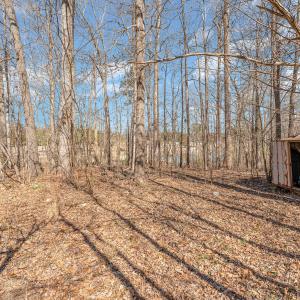 013_file_603