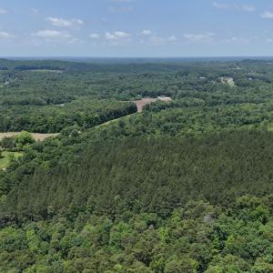 dji_fly_20250606_114956_0158_17492325047