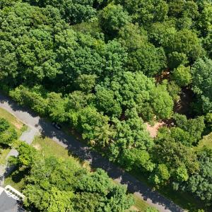 dji_fly_20250606_112938_0150_17492325056