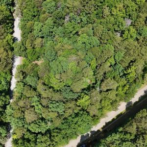 dji_fly_20250606_115044_0163_17492325024