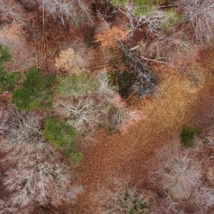 dji_fly_20250227_162242_246_174069167065