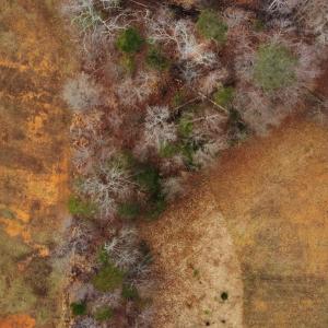 dji_fly_20250227_161942_241_174069166294