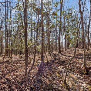 16-web-or-mls-P1023088